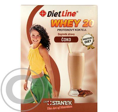 DietLine Whey 20 proteinový koktejl v prášku čoko 3 sáčky po 25 g