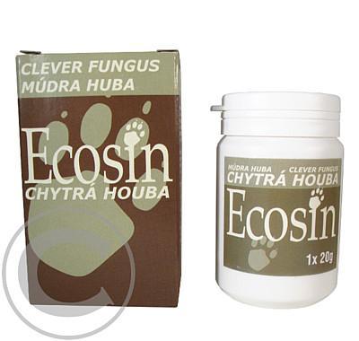 Chytrá houba Ecosin 1x20g