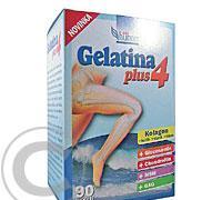 Gelatina Plus 4 cps.90